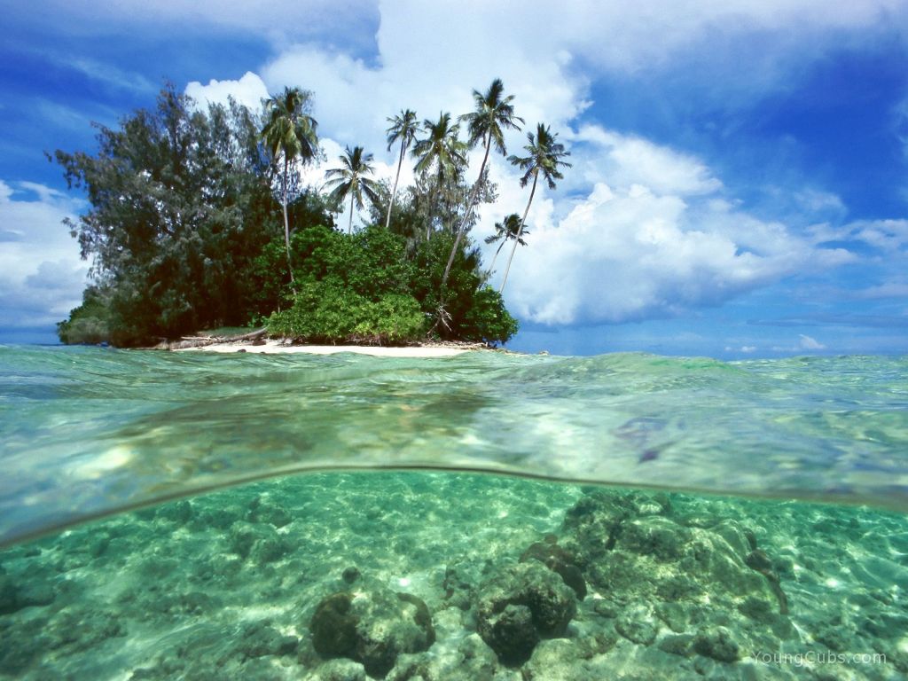 Split View, Solomon Islands